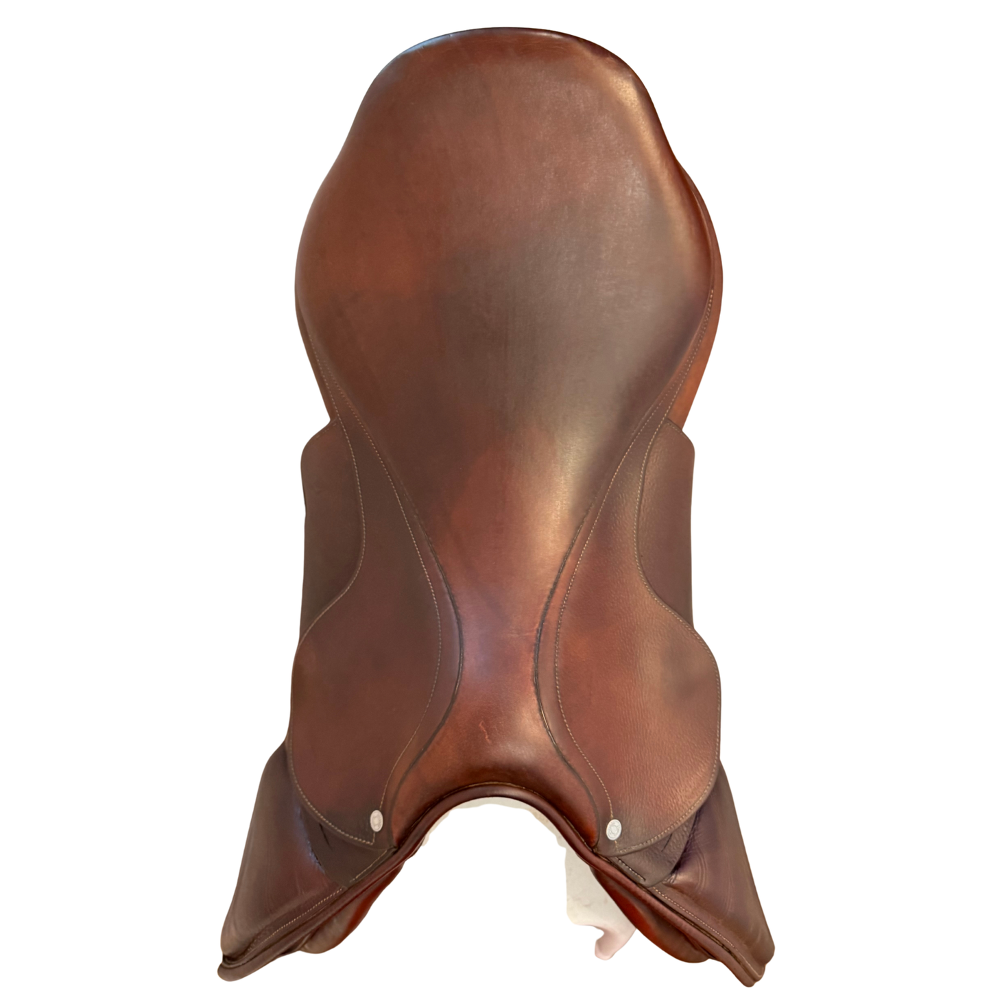 19" Antares Jump Saddle