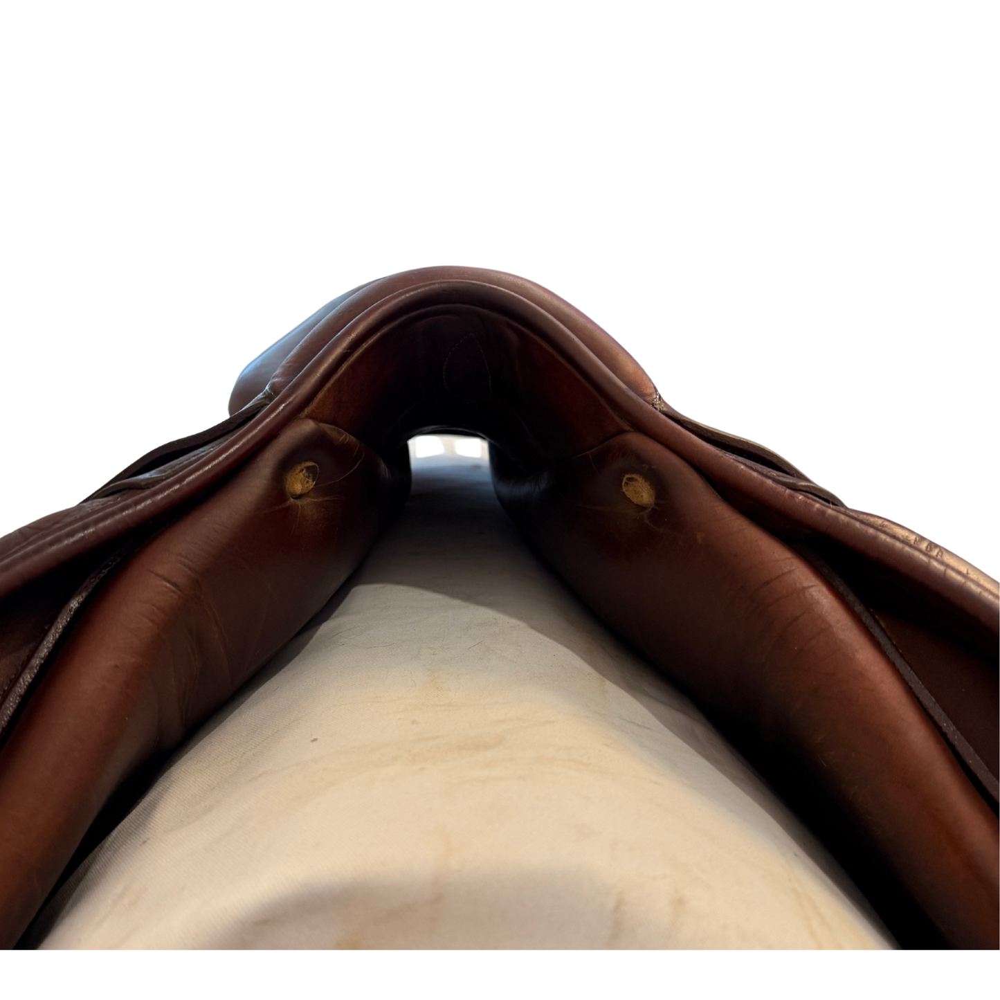19" Antares Jump Saddle
