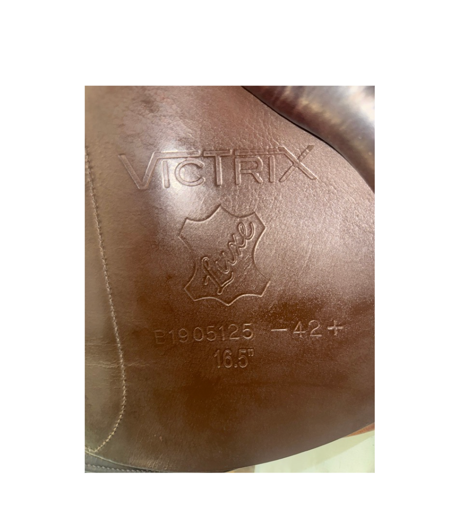 16.5” Bates Victrix Saddle (2019)